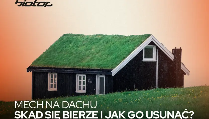 Czarny domek z zielonym dachem porośniętym trawą. Tekst pyta o mech na dachu i jak go usunąć, sugerując rozwiązanie antymech.