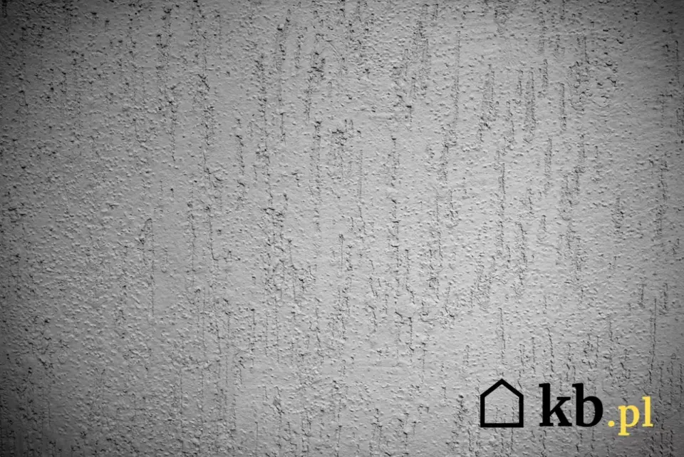 Tynk kornik na elewacji - efekt, wybór i koszty